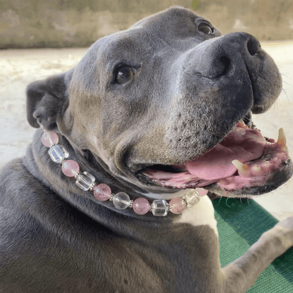 Healing Crystal Pet Collar with DIY Charm – Necklace for Dogs & Cats - PawPaw Palace - 