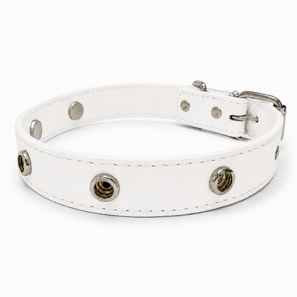 Interchangeable Charm Collar Base - PawPaw Palace - 