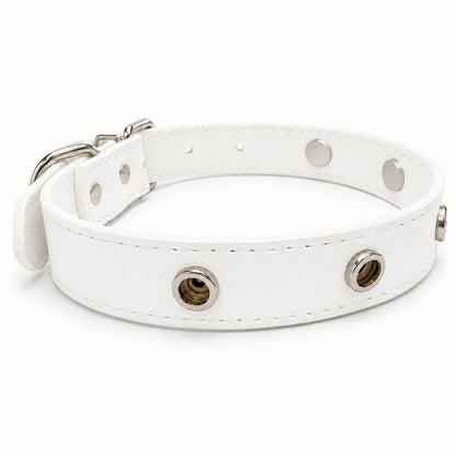 Interchangeable Charm Collar Base - PawPaw Palace - 