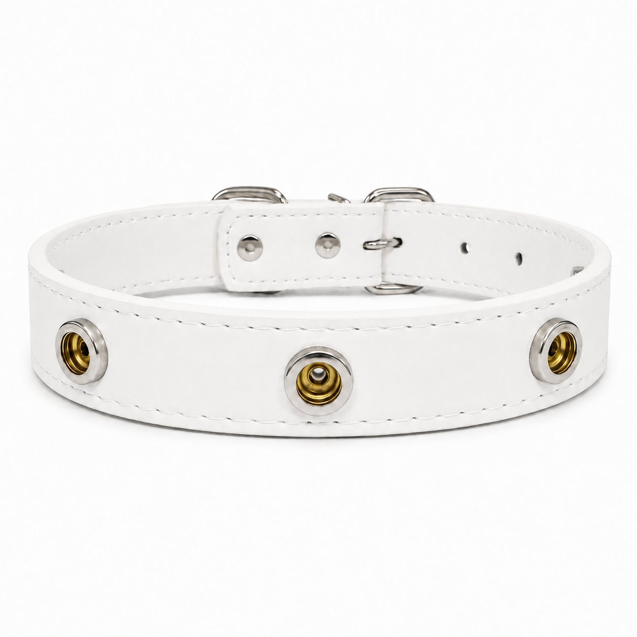 Interchangeable Charm Collar Base - PawPaw Palace - 