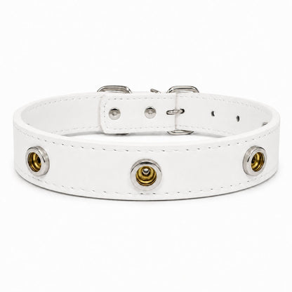 Interchangeable Charm Collar Base - PawPaw Palace - 
