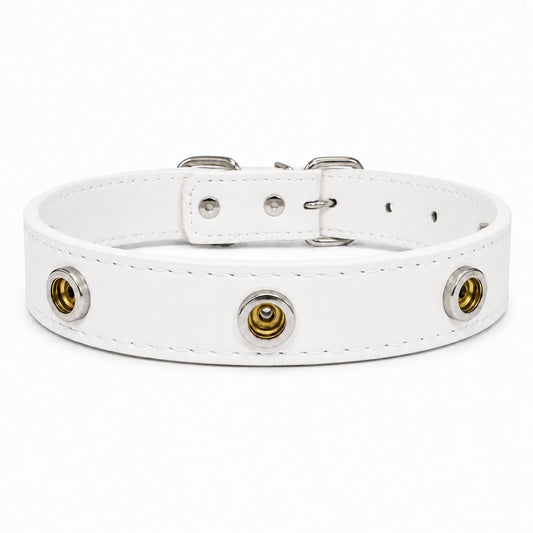 Interchangeable Charm Collar Base - PawPaw Palace - 