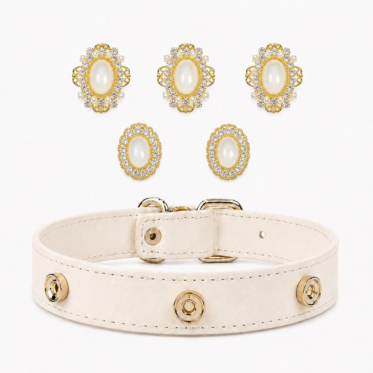 Interchangeable Dog Collar Charm Bundle - PawPaw Palace - 