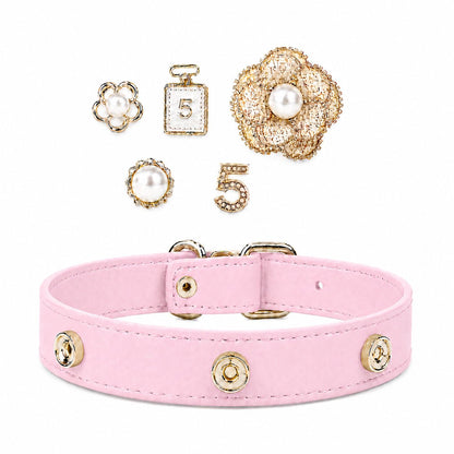 Interchangeable Dog Collar Charm Bundle - PawPaw Palace - 