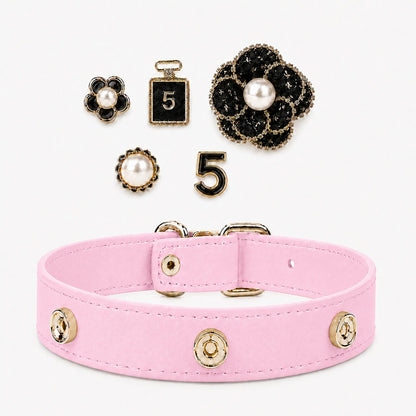 Interchangeable Dog Collar Charm Bundle - PawPaw Palace - 