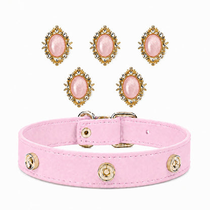 Interchangeable Dog Collar Charm Bundle - PawPaw Palace - 