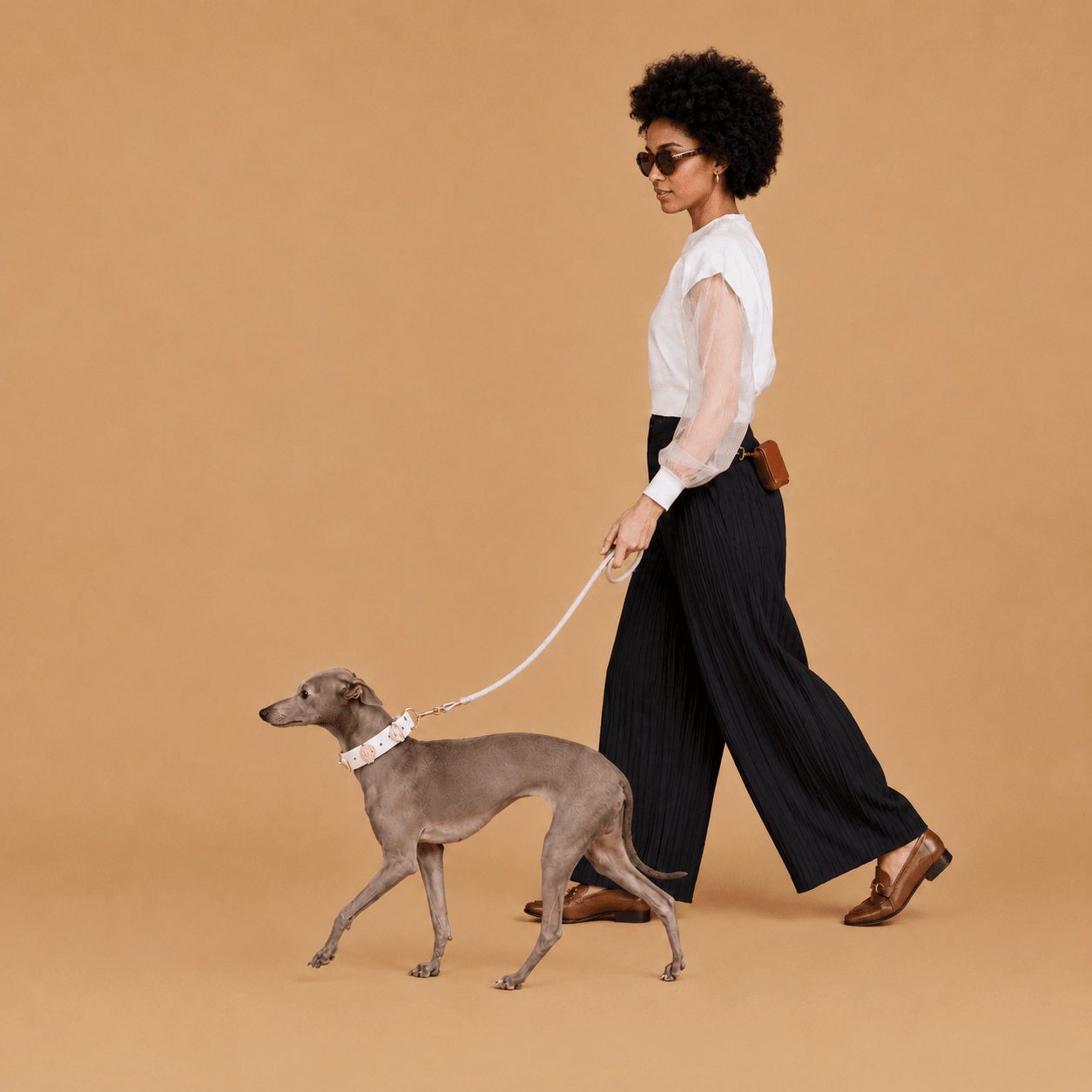 Interchangeable Dog Collar Charm Bundle - PawPaw Palace - 
