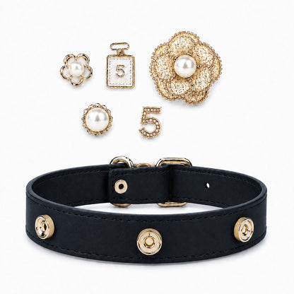 Interchangeable Dog Collar Charm Bundle - PawPaw Palace - 