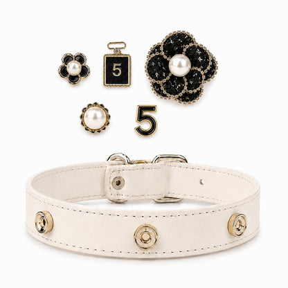 Interchangeable Dog Collar Charm Bundle - PawPaw Palace - 