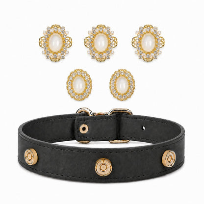 Interchangeable Dog Collar Charm Bundle - PawPaw Palace - 