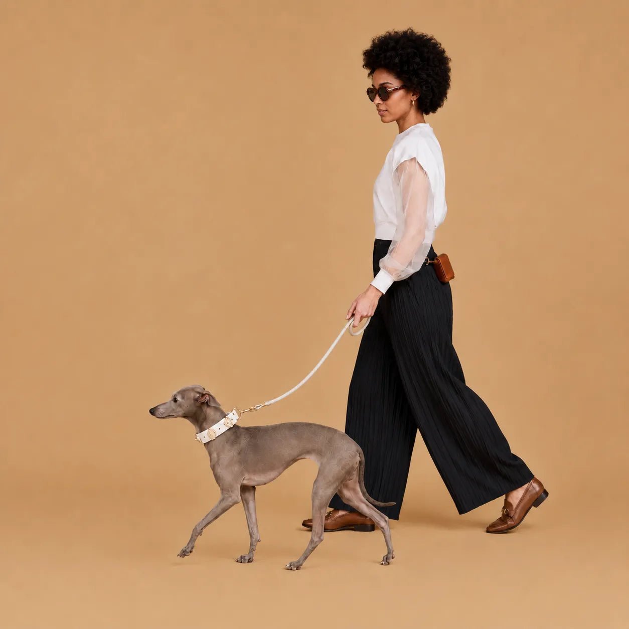 Interchangeable Dog Collar Charm Bundle - PawPaw Palace - 