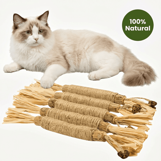 Natural Silvervine Dental Sticks| Catmint Silvervine Blend Sticks - PawPaw Palace - 