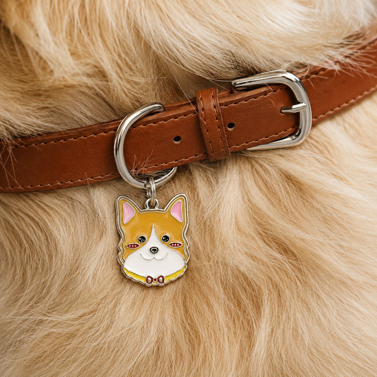 Personalized Dog Collar & Breed ID Tag Set — 20+ Breeds - PawPaw Palace - 