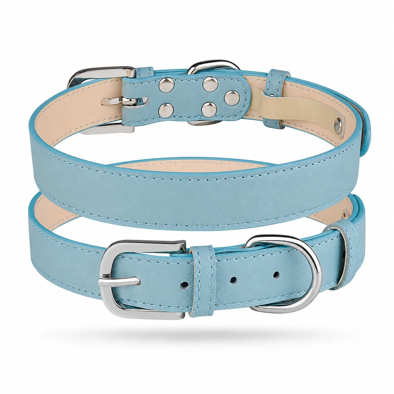 Personalized Dog Collar & Breed ID Tag Set — 20+ Breeds - PawPaw Palace - 