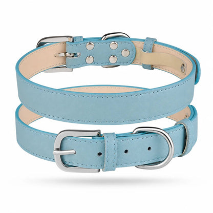 Personalized Dog Collar & Breed ID Tag Set — 20+ Breeds - PawPaw Palace - 