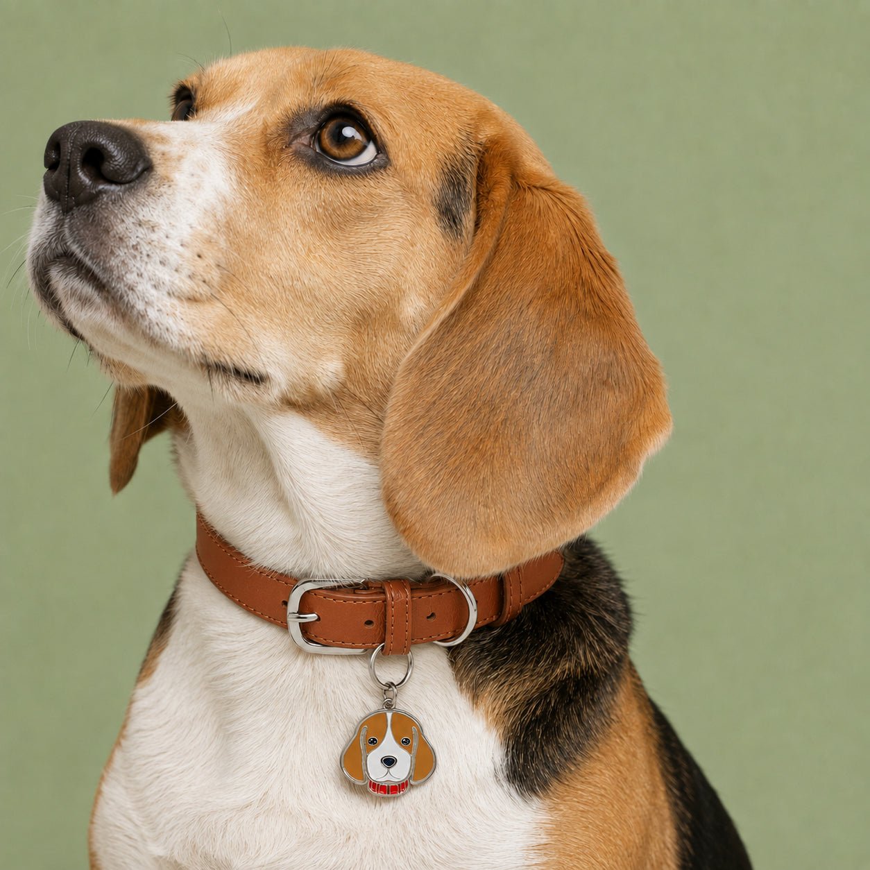 Personalized Dog Collar & Breed ID Tag Set — 20+ Breeds - PawPaw Palace - 