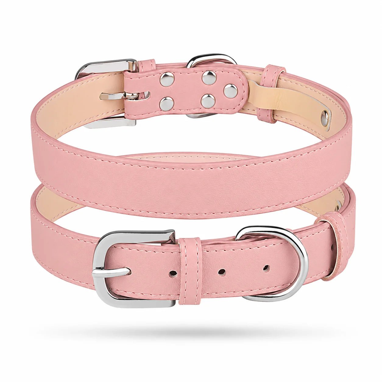 Personalized Dog Collar & Breed ID Tag Set — 20+ Breeds - PawPaw Palace - 
