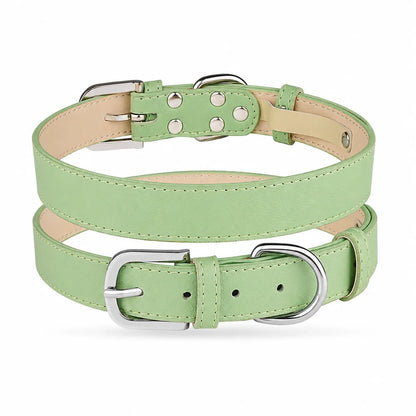 Personalized Dog Collar & Breed ID Tag Set — 20+ Breeds - PawPaw Palace - 