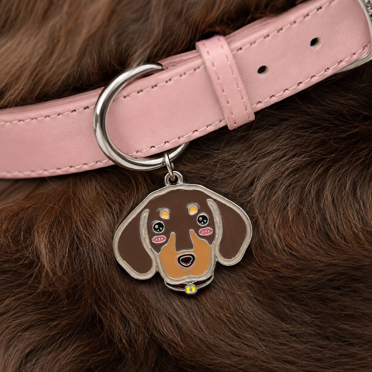 Personalized Dog Collar & Breed ID Tag Set — 20+ Breeds - PawPaw Palace - 