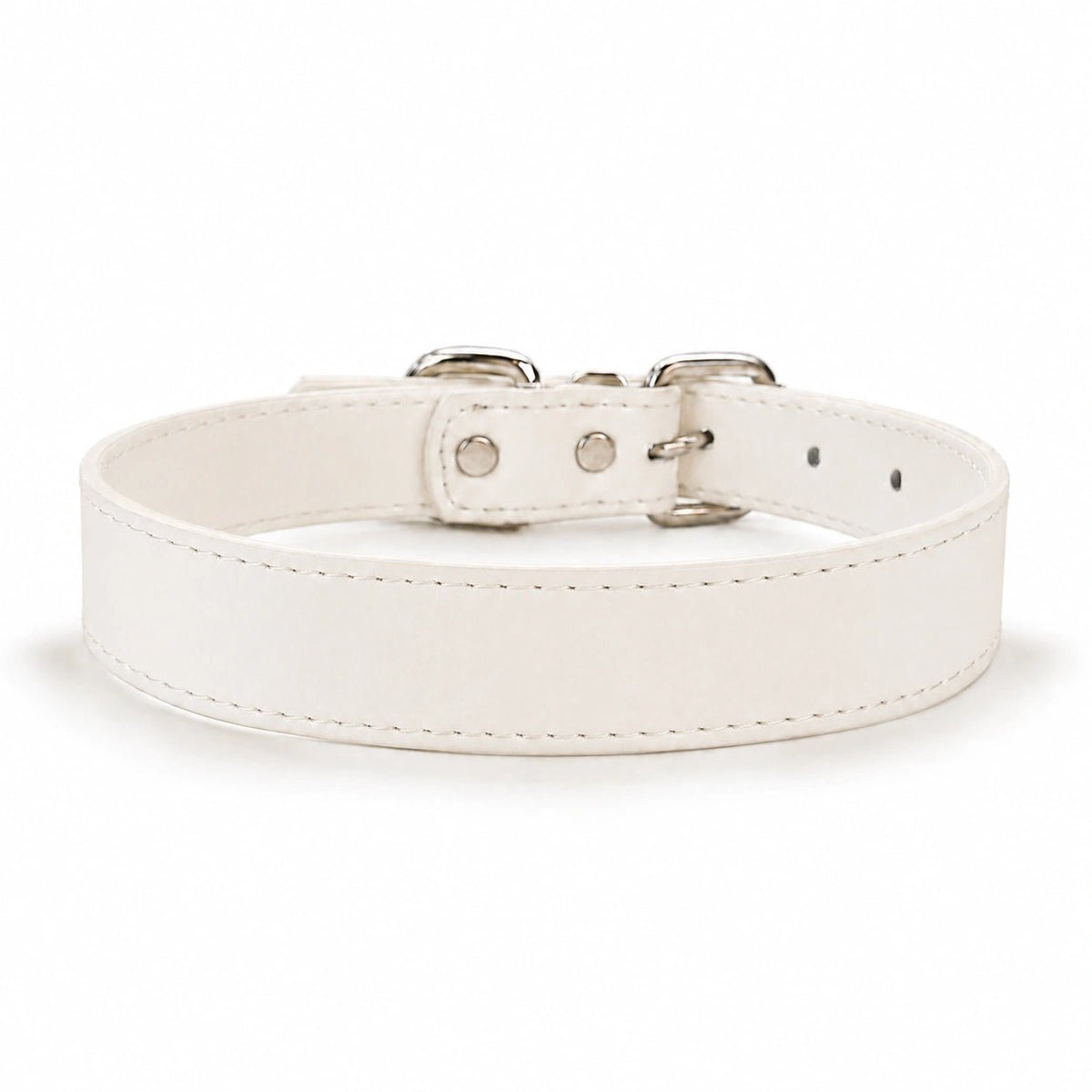 Personalized Dog Collar with ID Tag & Interchangeable Charms - PawPaw Palace - PDC-COLLAR-BONE-S
