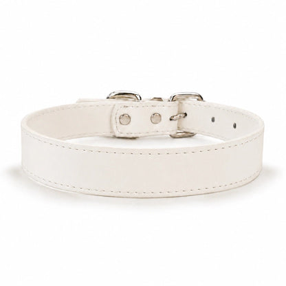 Personalized Dog Collar with ID Tag & Interchangeable Charms - PawPaw Palace - PDC-COLLAR-BONE-S