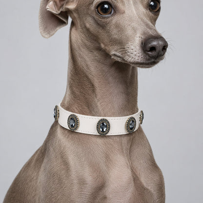 A greyhound with Personalized Dog Collar and Midnight Gem Interchangeable Charms