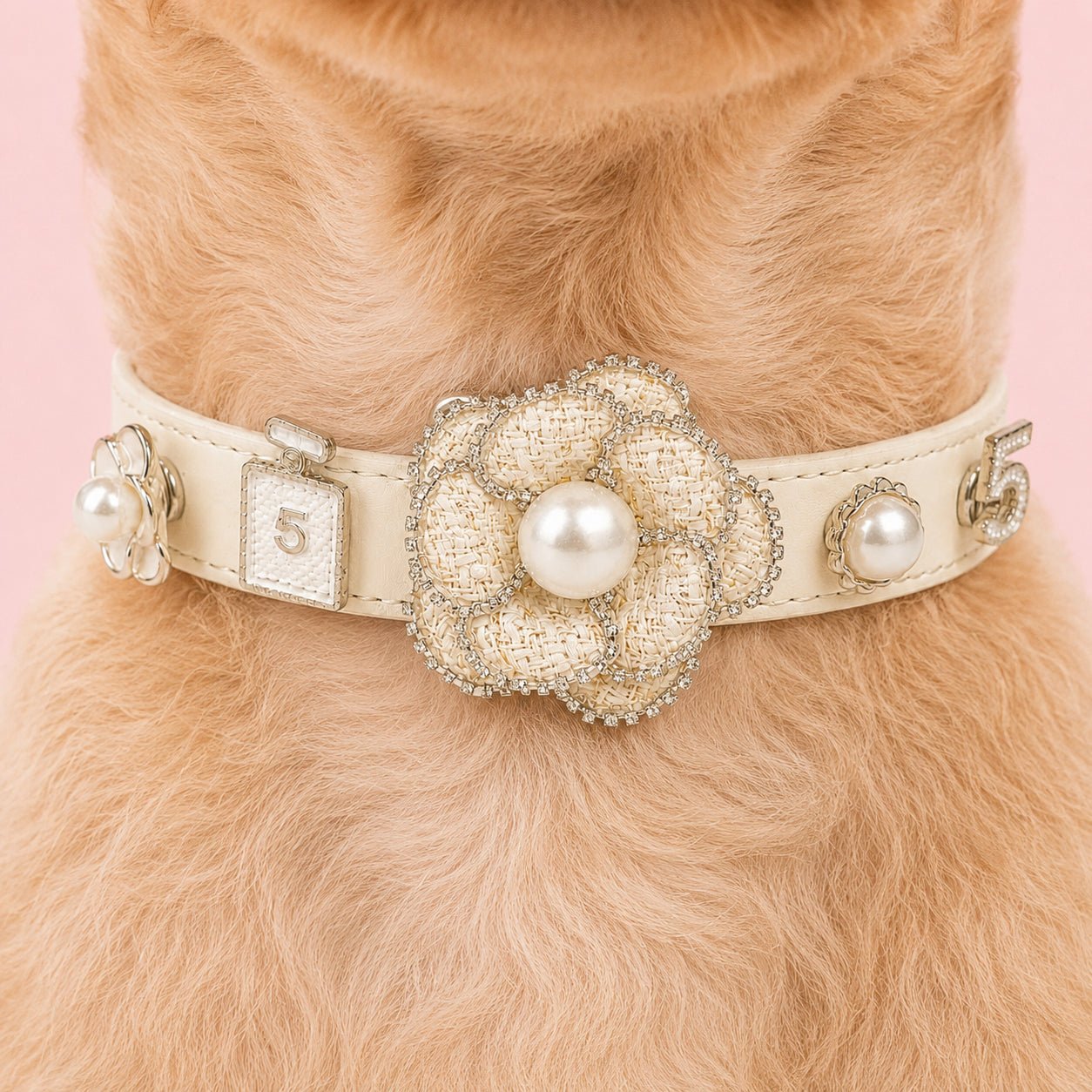 Personalized Dog Collar with  White Camellia Interchangeable Charms in details