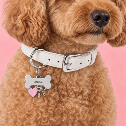 A teddy with Personalized Bone Shape Dog ID Tag Collar with  PawPaw Palace 