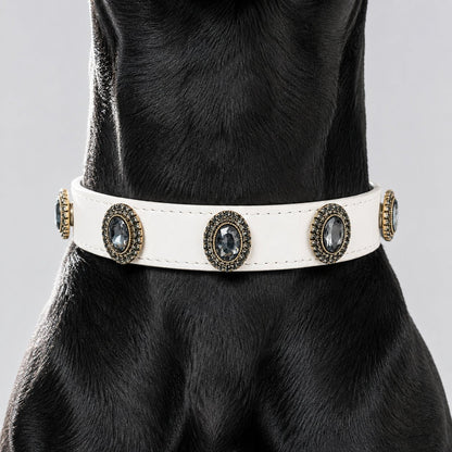 A Black Dog with Personalized Dog Collar and Midnight Gem Interchangeable Charms