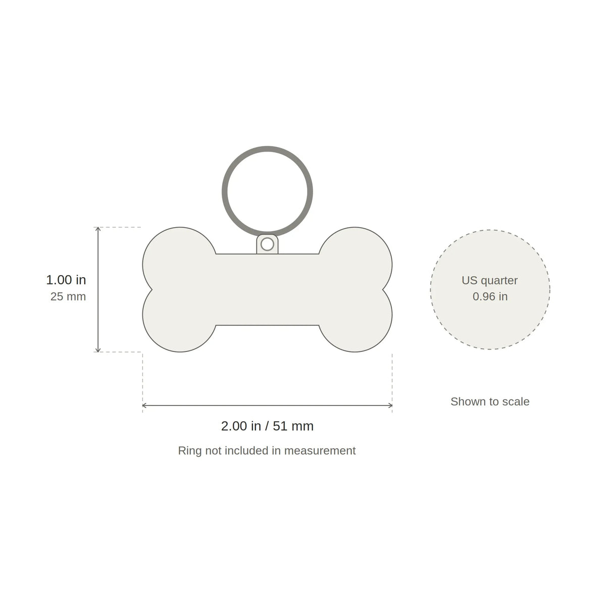 Personalized dog ID tag size bone shape compared with a coin for scale