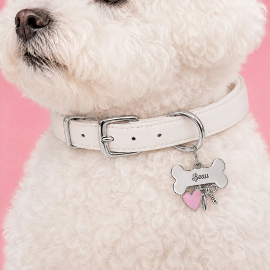 A Bichon Frise with Personalized Bone Shape Dog ID Tag Collar with  PawPaw Palace 