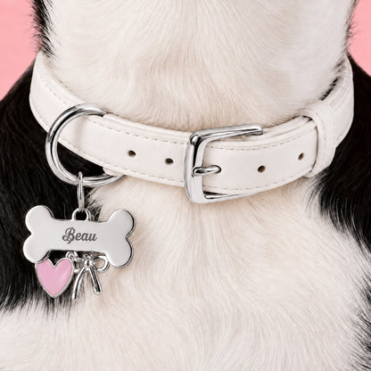 A white dog with Personalized Bone Shape ID Tag Dog Collar 