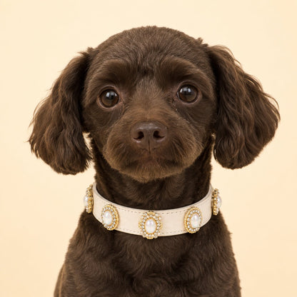 A grey small dog withPersonalized Dog Collar and white baroque Interchangeable Charms