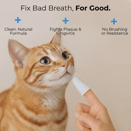 PetSmile Natural Dental Finger Pads - PawPaw Palace - 