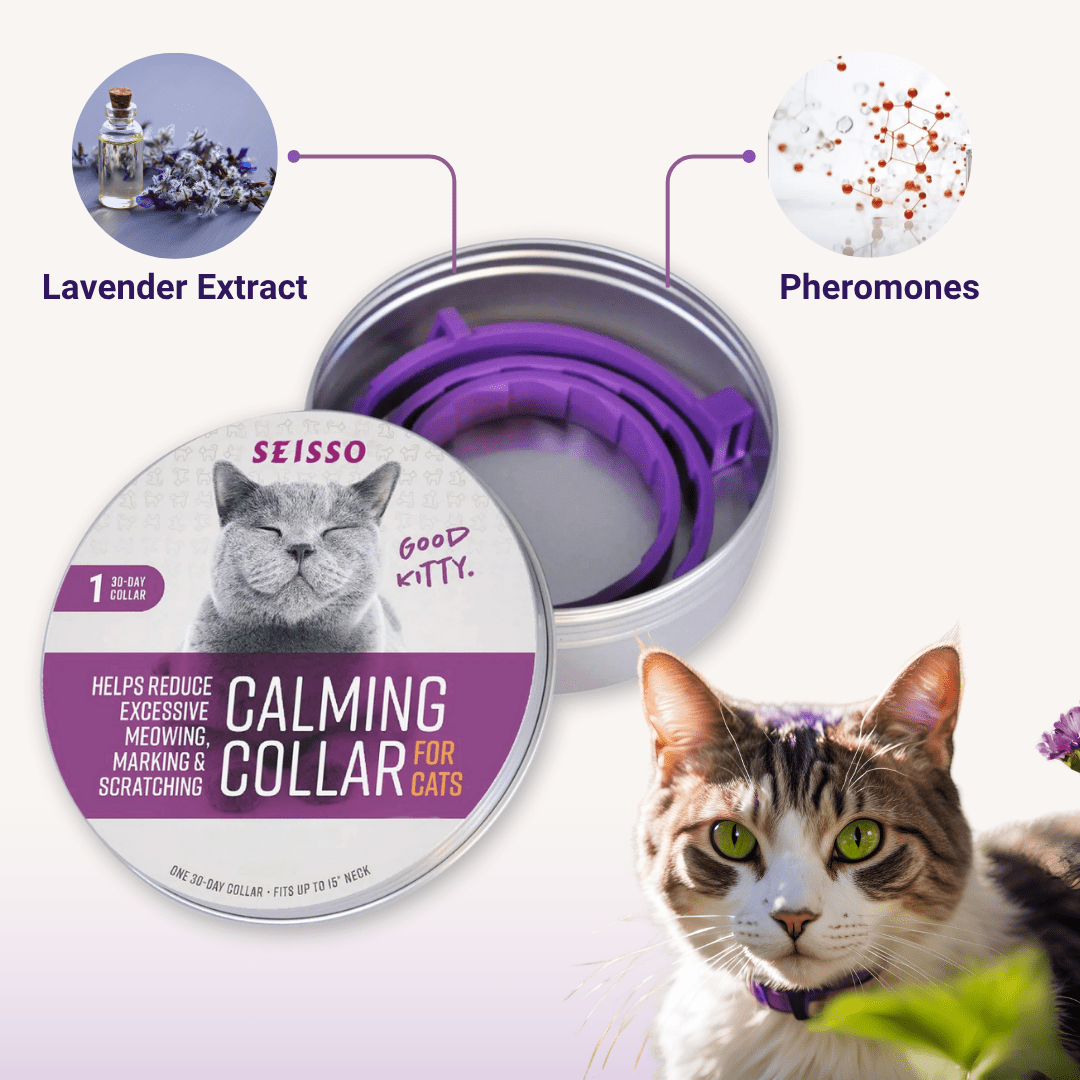 Pheromones Cat Calming Collar - PawPaw Palace - 
