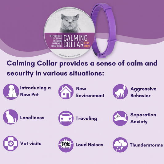 Pheromones Cat Calming Collar - PawPaw Palace - 