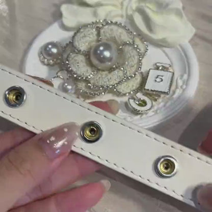 Interchangeable Dog Collar Charm Bundle