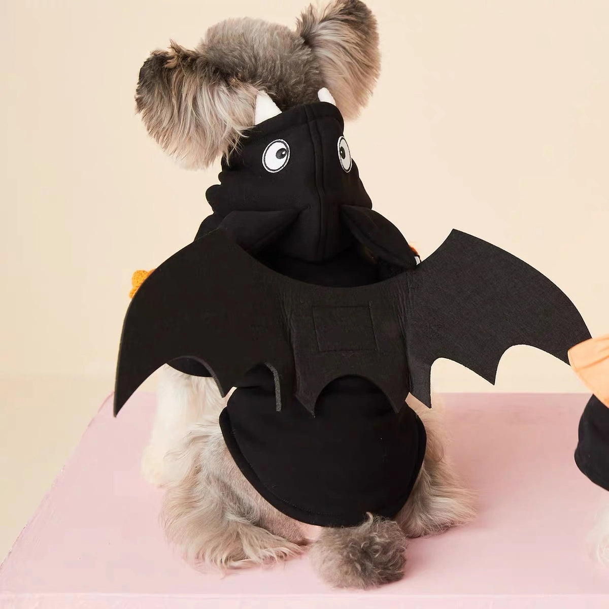 Spooky Bat Wing Dog Hoodie - PawPaw Palace - 