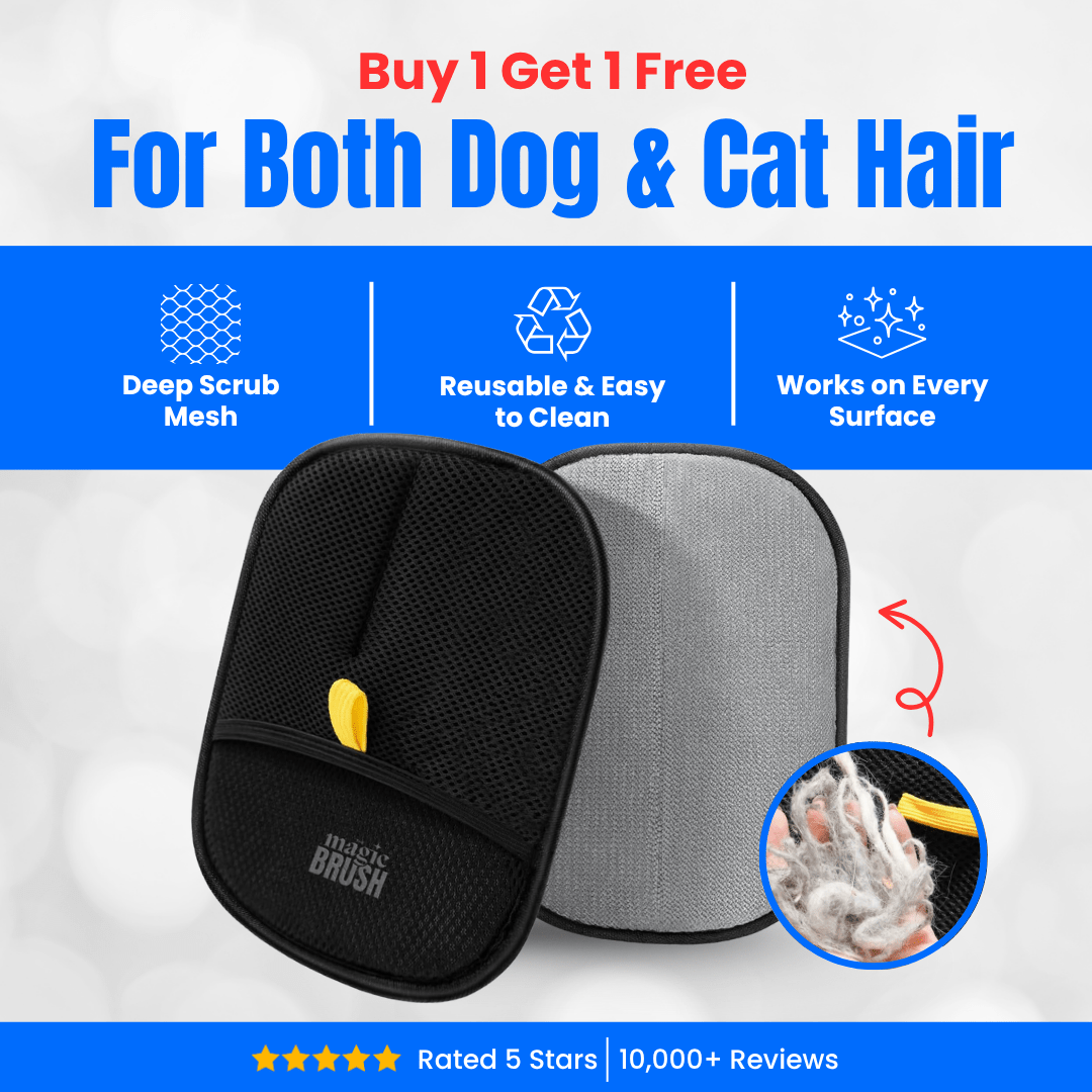 The Magic Hair Eraser Glove™ - Buy 1 Get 1 Free - PawPaw Palace - 