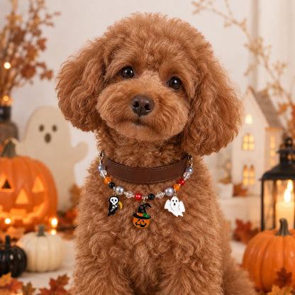 Trick or Treat Charm Pet Collar - PawPaw Palace - 