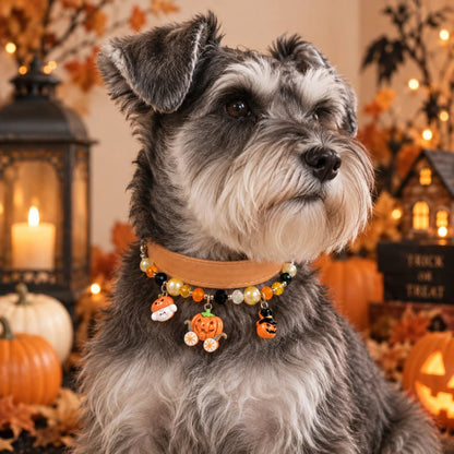 Trick or Treat Charm Pet Collar - PawPaw Palace - 