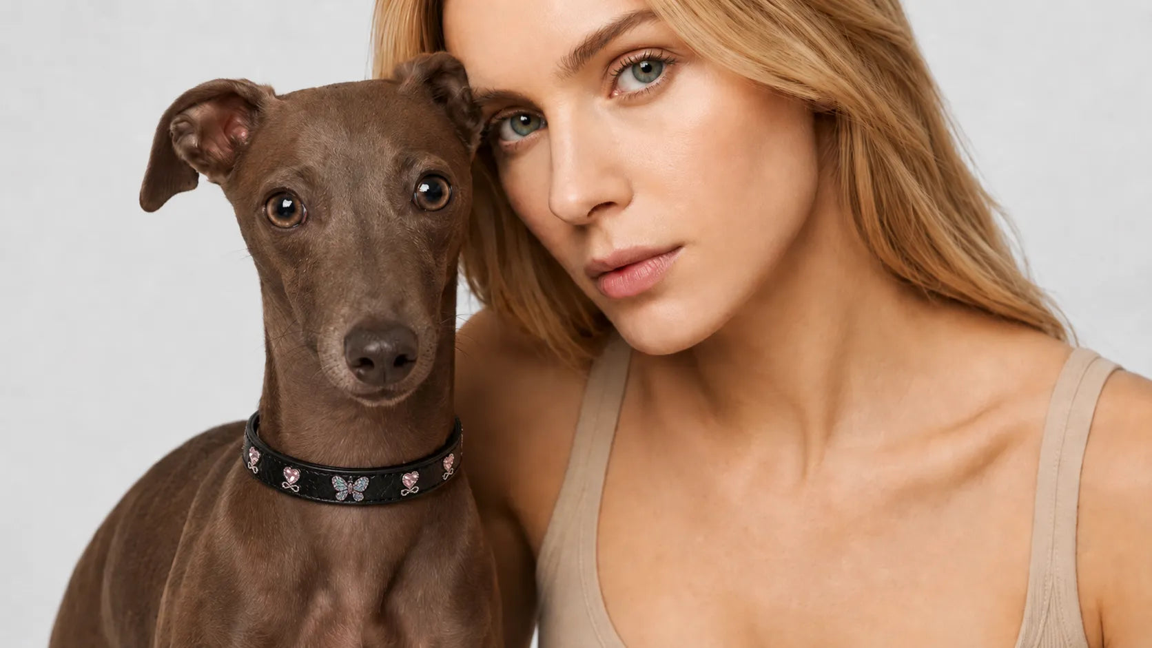 woman-with-brown-dog-interchangeable-collar-laptpo-banner